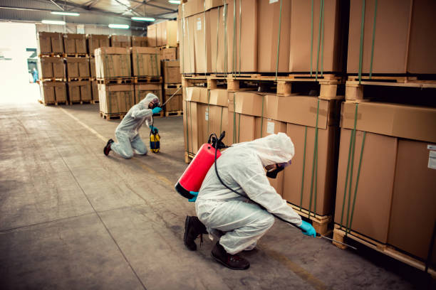 Professional Pest Control in Nellieburg, MS