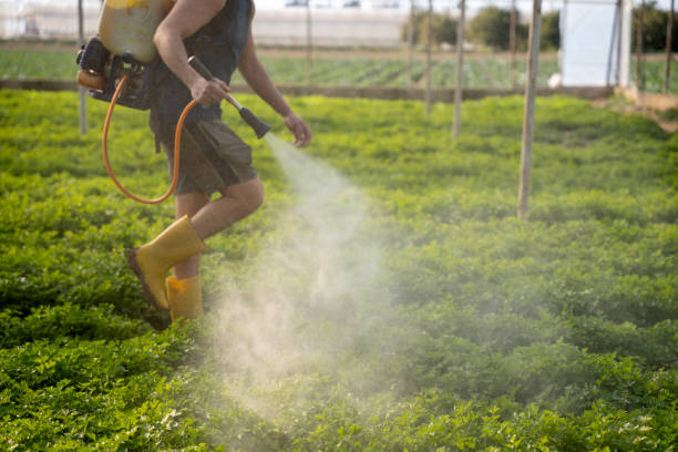 Best Commercial Pest Control Services  in Nellieburg, MS