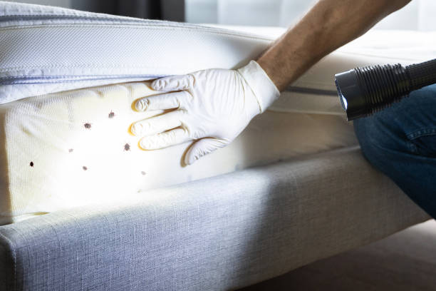 Best Best Pest Control Companies  in Nellieburg, MS