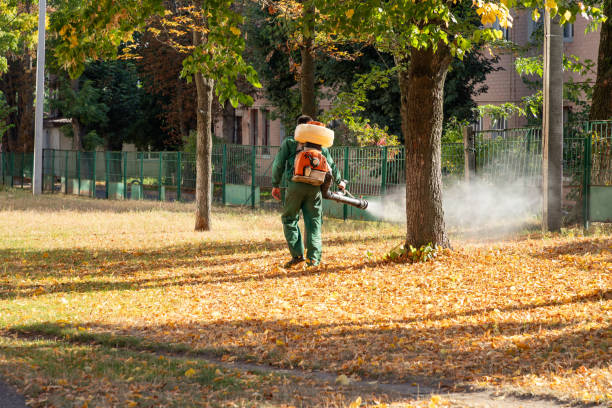 Best Wildlife Control Services  in Nellieburg, MS