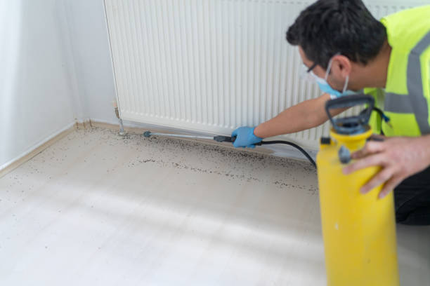 Best Bed Bug Extermination  in Nellieburg, MS