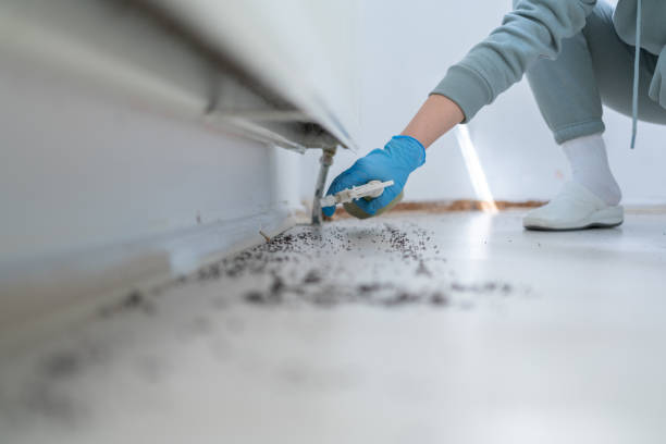 Pest Control for Restaurants in Nellieburg, MS