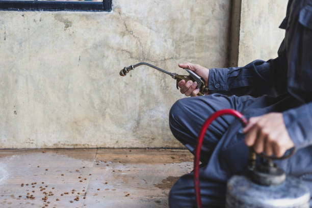 Best Pest Control Near Me  in Nellieburg, MS