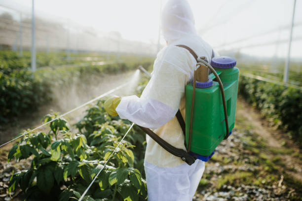 Flea Control Services in Nellieburg, MS